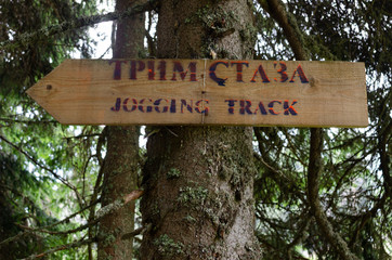 Sign on a tree in a forest with a text in Serbian written in Cyrillic alphabet with the meaning 