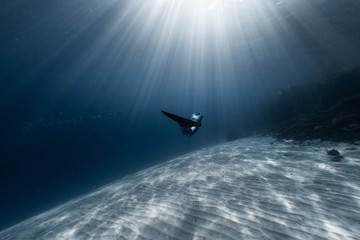 Woman freediver glides in the depth among the school of fish over the sandy bottom with sun rays...