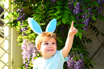 Child shows a finger up. Little boy in blue T-shirt and blue bunny ears points at something in air...