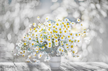 Small white daisies in a glass jar on a white table. Soft focus, bokeh background