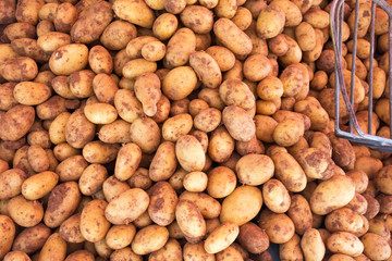 Fresh potatoes in the vegetable market. View from above