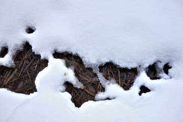 Frozen water in the snow
