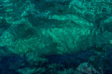 Fototapeta na wymiar Italy, Cinque Terre, Monterosso, a close up of a green field
