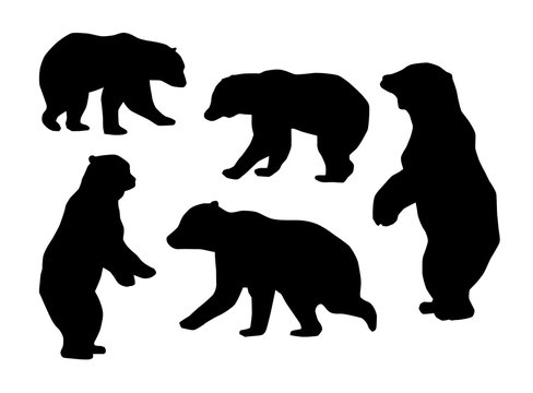 Collection of the Bear Silhouettes. Vector Image