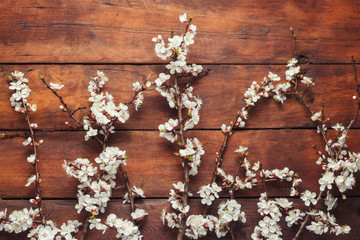 Sakura branches with flowers on a dark wooden background. Flat lay, top view