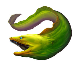 Moray eel Green. Large green moray eel with open mouth and thick row of sharp teeth of needles. - obrazy, fototapety, plakaty