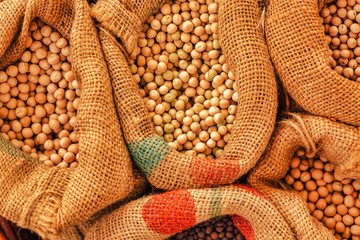 Plenty of harvested soybean in burlap sacks