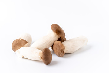 King Oyster Mushroom on white background.