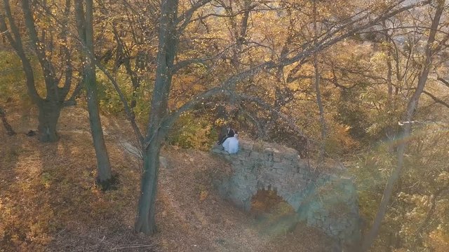 Wedding couple. Lovely groom and bride sitting on on a remains of a destroyed building in the forest.  Happy family. Man and woman in love. Wedding day. Slow motion. Arial view. Shot from drone