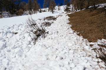 Wet snow avalanche in the italian alps