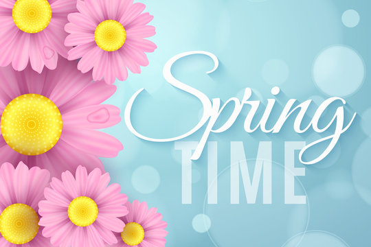 Realistic pink daisy flowers. Spring seasonal banner for your advertising. Ecological composition. Abstract blue bokeh lights. Spring time. Vector illustration