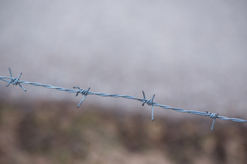 Close up of sharp barbed metal wire.