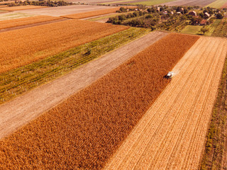 Obraz premium Aerial view of combine harvester in cornfield