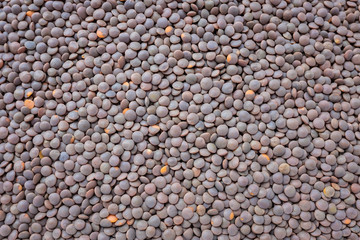 Brown lentils background