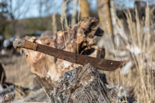 Old, rusted machette