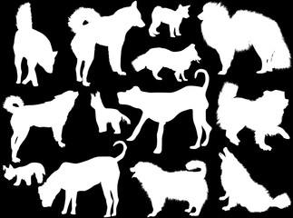 set of thirteen dogs silhouettes isolated on black