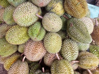  durian fruit in large numbers, some are green and some are yellow