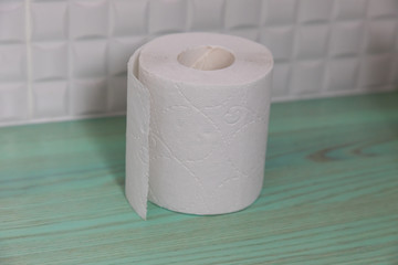 roll of toilet paper
