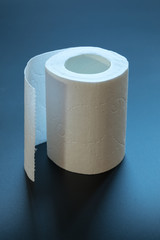 roll of toilet paper