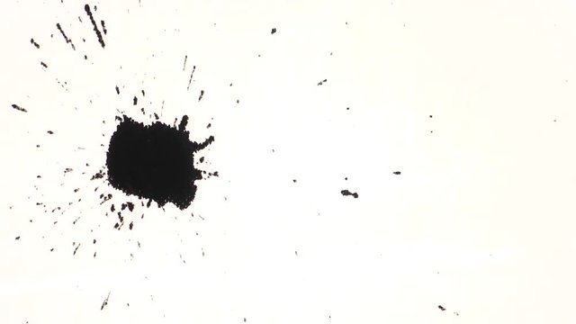 Splash of black ink isolated over white background. Top view. Perfect element to incorporate in your transition pack