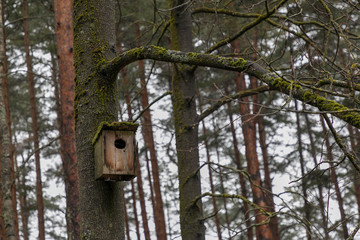 wooden birdhouse on a tree