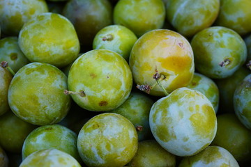 Crate of green gage plums (reine claude) at a farmers market