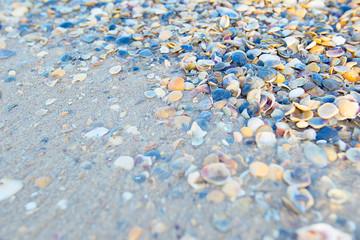 Stones and shells on sand