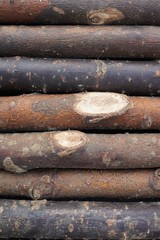 wood texture close up