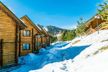 Wooden cottage among pine forest. Comfortable accommodation in the ski resort Bukovel