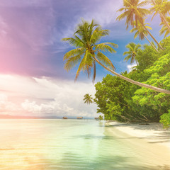 Idillyc background of tropical island beach - calm ocean, palm trees, blue sky