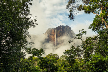 Angel falls, Canaima National Park, Venezuela