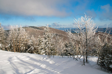 Fototapeta na wymiar frosty day on the top of the mountain
