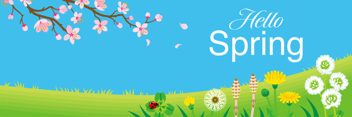 Fototapeta na wymiar Cherry blossom branch and Wildflowers in the Spring grassland, including words “Hello Spring