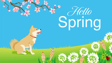 Dog in the Spring nature, including words “Hello Spring