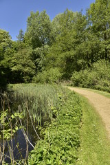Chemin courbé longeant un bras d'eau couvert de végétation dans la forêt luxuriante du domaine provincial de Rivierenhof à Anvers