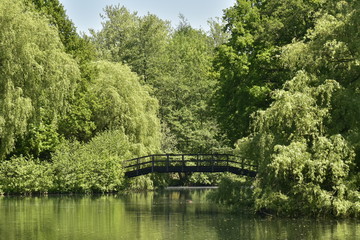 Fototapeta premium Passerelle traversant un chenal étroit entre deux étangs en plein coeur de la végétation dense et luxuriante du domaine provincial du Rivierenhof à Anvers