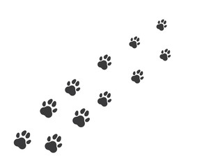 Fototapeta na wymiar paw logo icon of pet vector