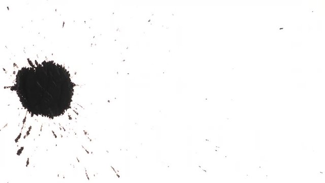 Abstract dots of black ink splashed on white background. Isolated footage. Top view
