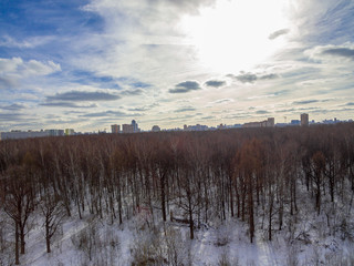 Sunny winter landscape