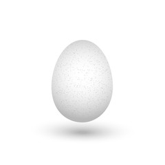 One white chicken egg with shadow isolated on white background close up on white background. Vector illustration