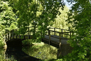 Pont en béton avec rambarde en bois traversant un passage étroit dans la forêt luxuriante du domaine provincial de Rivierenhof à Anvers