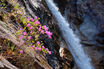 Biryong Falls watrefall