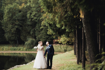 Newly married couple running and jumping in park while holding hands