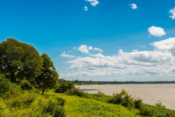 Fototapeta na wymiar View of the Orinoco River. Bolivar State, Venzuela
