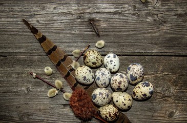 quail eggs on wooden background
