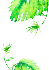 Watercolor abstract background, pattern, postcard, card, label. green spot, splash of paint, blot, divorce, color. Branches, green leaves, fern, palm, mint, bamboo. With a place for writing
