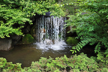 waterfall surrounded by foliage
