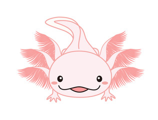 ウーパールーパー　イラスト　ピンク