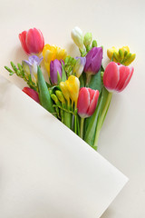 Bouquets Of Tulips and Freesia flowers on paper