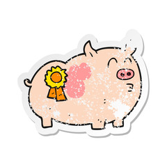 retro distressed sticker of a cartoon prize winning pig
